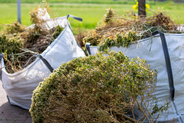 Best Junk Removal Near Me  in Mountain House, CA